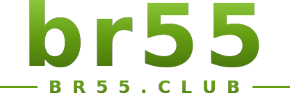 br55 logo